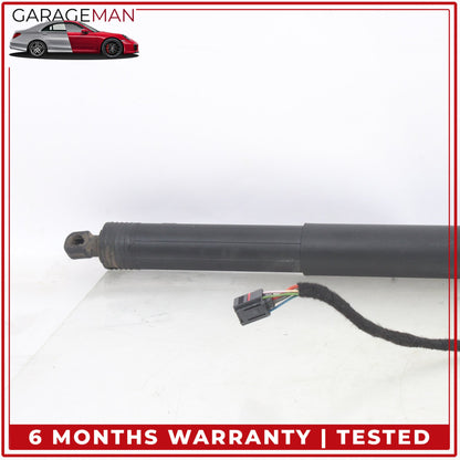 2018-2025 Audi A5 F5 Rear Left and Right Tailgate Shock Strut Set 8W8827851A OEM