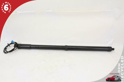 2010-2016 Porsche Panamera 970 Trunk Rear Left & Right Lift Support Strut Set