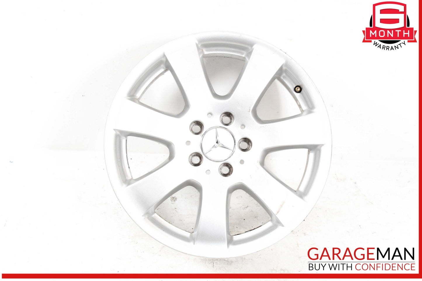 Mercedes W251 R350 ML500 GL450 7.5 X 17" R17 Wheel Rim Silver 2514011002 OEM
