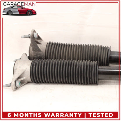 2017-2023 Tesla Model 3 Rear Left and Right Shock Strut Absorber 104446101E OEM