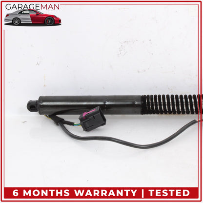 2012-2018 Audi A7 Trunk Lid Rear Left and Right Shock Lift Support Strut Set OEM
