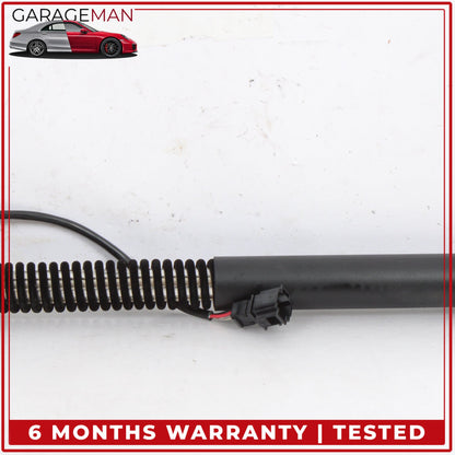 2012-2018 Audi A7 Trunk Lid Rear Left and Right Shock Lift Support Strut Set OEM