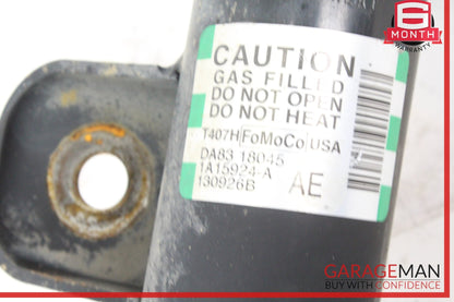 2013-2019 Ford Flex Front Left and Right Shock Absorber Set DA83-18K001 OEM