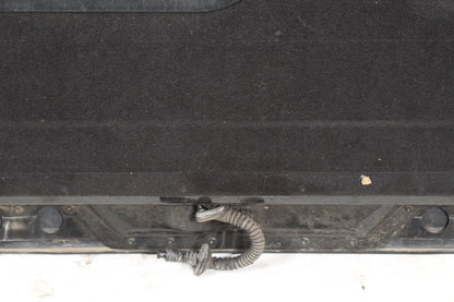 2010-2016 Land Rover LR4 SUV Rear Trunk Lower Tailgate Shell LR045550 OEM