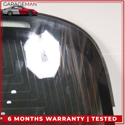 2017-2020 Tesla Model 3 Panoramic Backlite Roof Glass Back Section OEM