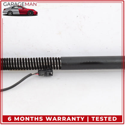 2012-2018 Audi A7 Trunk Lid Rear Left and Right Shock Lift Support Strut Set OEM