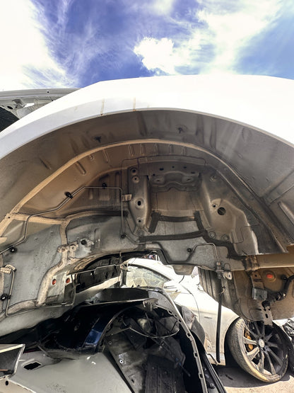 2017-2023 Tesla Model 3 Rear Left Side Quarter Frame Body Panel Pearl White OEM