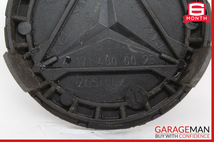 Mercedes-Benz R171 SLK350 Wheel Center Cap 1714000025