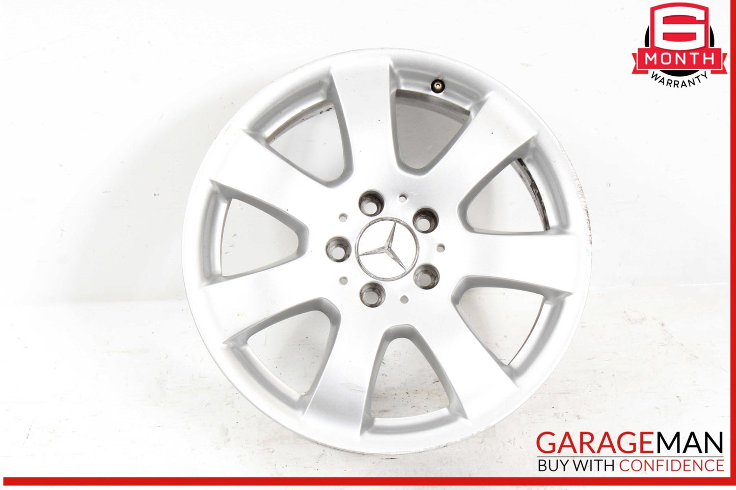 Mercedes W251 R350 ML500 GL450 7.5 X 17" R17 Wheel Rim Silver 2514011002 OEM