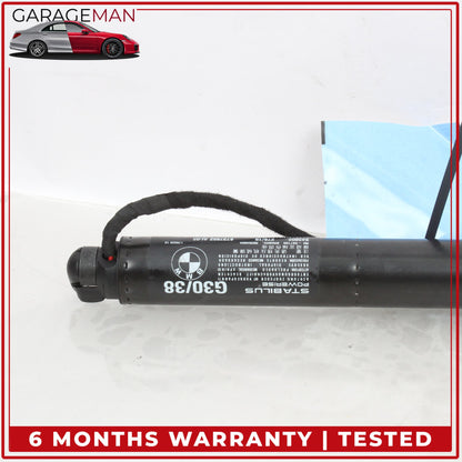 2017-2023 BMW 530e Rear Left and Right Side Power Lift Support Strut 8737952 OEM
