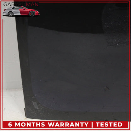 2017-2020 Tesla Model 3 Panoramic Backlite Roof Glass Back Section OEM