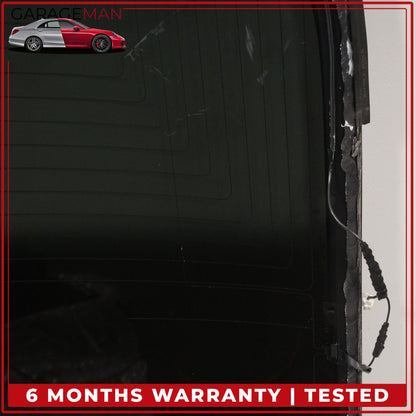 2017-2020 Tesla Model 3 Panoramic Backlite Roof Glass Back Section OEM