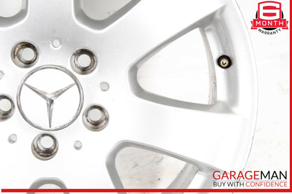 Mercedes W251 R350 ML500 GL450 7.5 X 17" R17 Wheel Rim Silver 2514011002 OEM