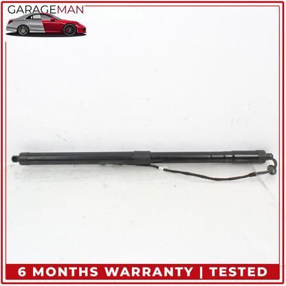 2010-2016 Porsche Panamera 970 RWD Trunk Tailgate Shock Strut (Set of 2) OEM